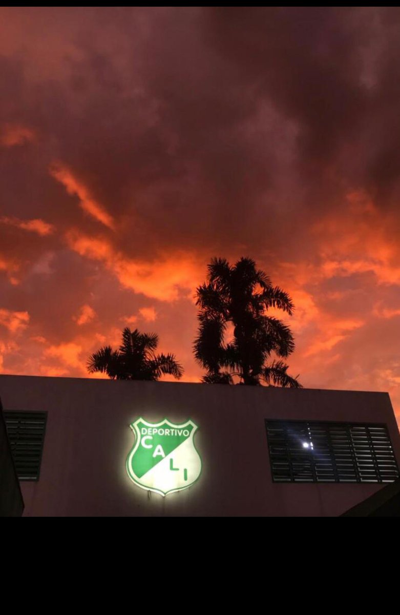 Dan Pratt tweet media