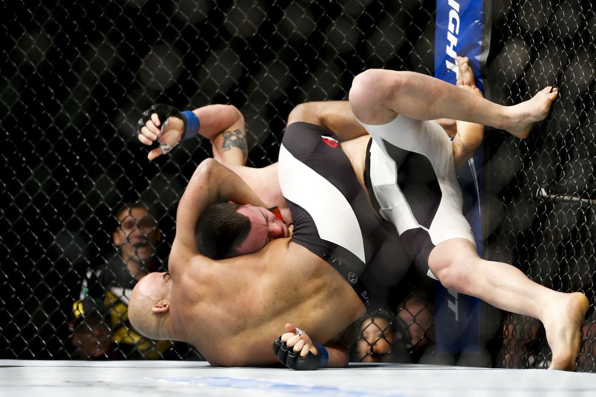 Giacomo BOG ❯❯❯❯❯ 💎 tweet media