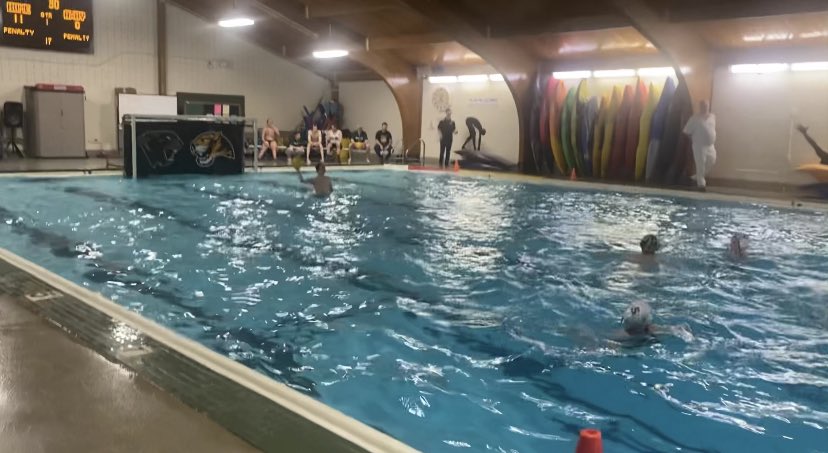 Oakville Water Polo tweet media