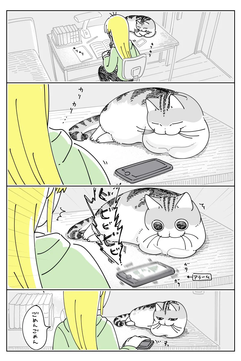 居づらそうだけど、それでも･･･！可愛くて思わず癒されちゃう「猫漫画」が話題に！