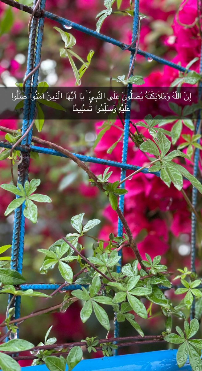 umazain4's tweet photo. https://t.co/c3ouuElzUk