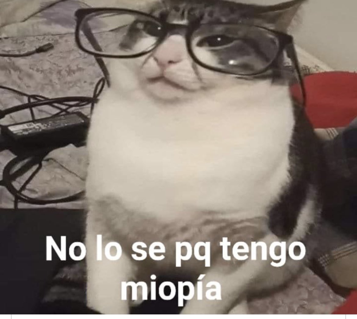 Guarromantico_'s tweet photo. Mis amigos: ¿Qué no ves que solo está jugando contigo? 

Yo: https://t.co/cfvm0FQrth