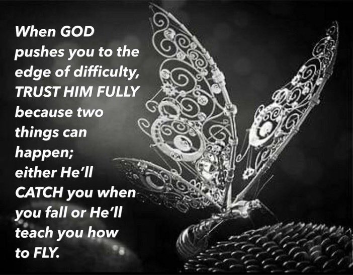 Paula 💜 tweet media