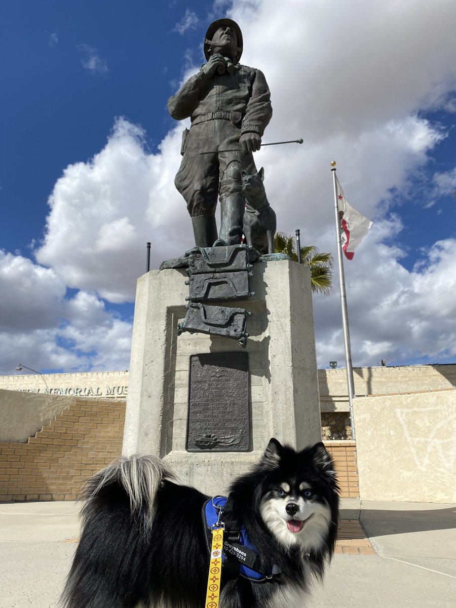 LittleGreyshoes's tweet photo. Road trip! Little side detour to stretch my paws at the General Patton Memorial Museum!

LAFW…here we come!!!

https://t.co/hFQerxuOyJ

#roadtrip #puppytime #pomskylife #greyshoes #museum #generalpatton https://t.co/CYMMQO5myW