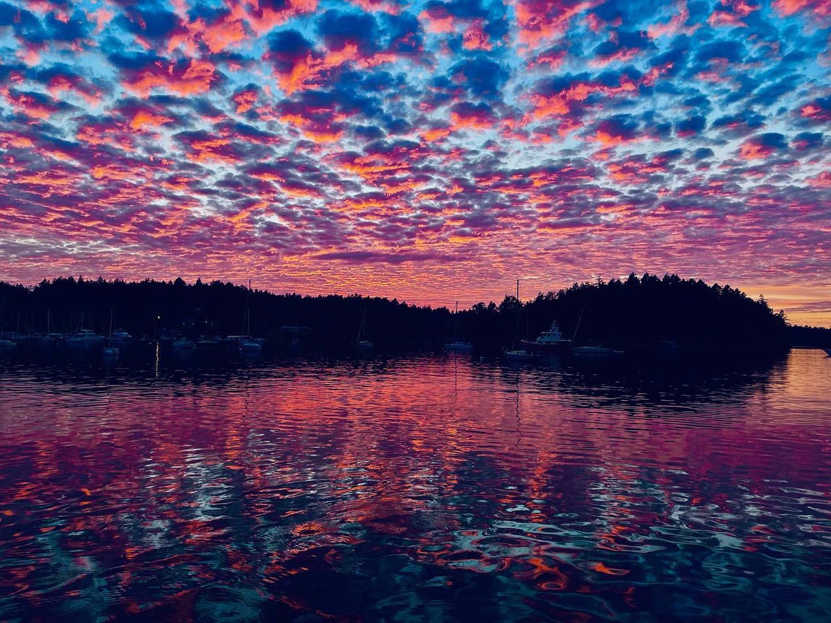 ResortSilva's tweet photo. #ilovesilvabay - The summer may have felt long, but it ended on a stunning note.

Photo credit 📷: @lindsay_dmp 

#silvabay #gabriolaisland #gulfislands #beautifulbc #naturebc #destinationbc #experiencebc #silvabay #gabriola #iremembersilva #tourismbc #beautifulbritishcolumbia https://t.co/4CbrmCQ87M