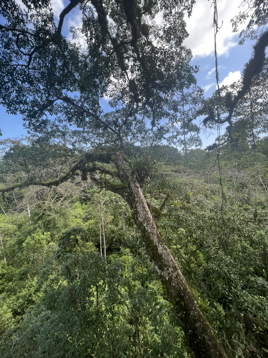 Rem1Bio's tweet photo. Some of my favorite photos so far #ITEC just hanging around https://t.co/ecYhENMh9a