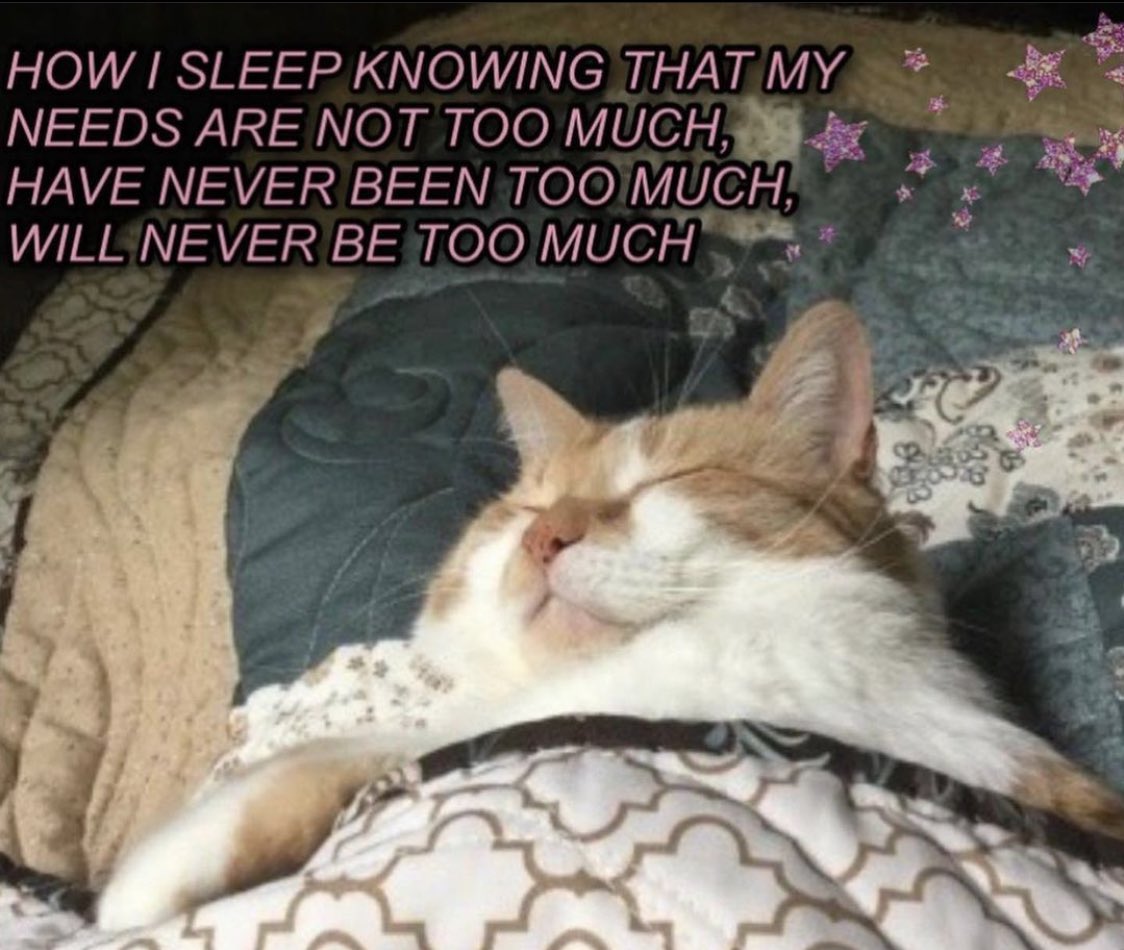 earthdombaby's tweet photo. VENUS IS IN TAURUS 🌸 https://t.co/IDFVKTmwmR