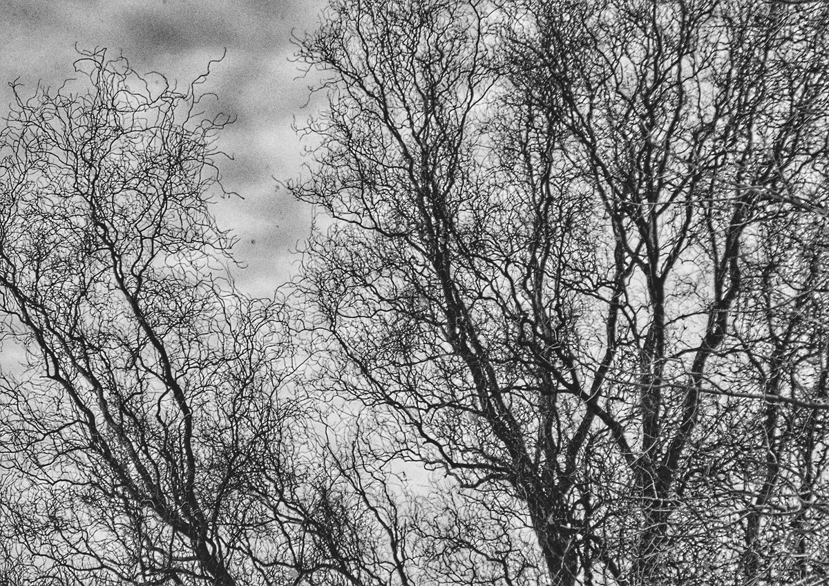 Jim Moody (@jim_moody) on Twitter photo View from the dentist's chair yesterday... View from the dentist's chair yesterday...