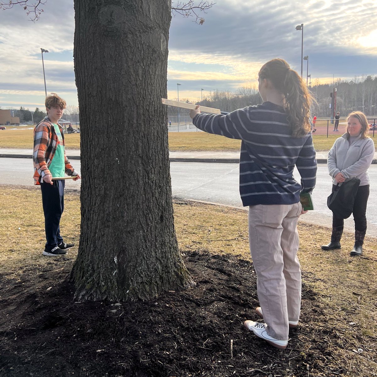 Erika Kalgren tweet media