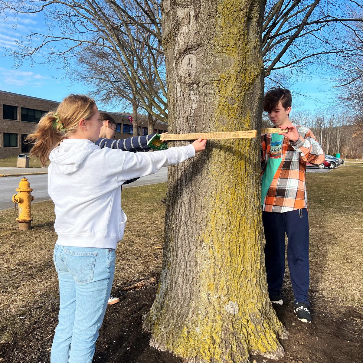 Erika Kalgren tweet media