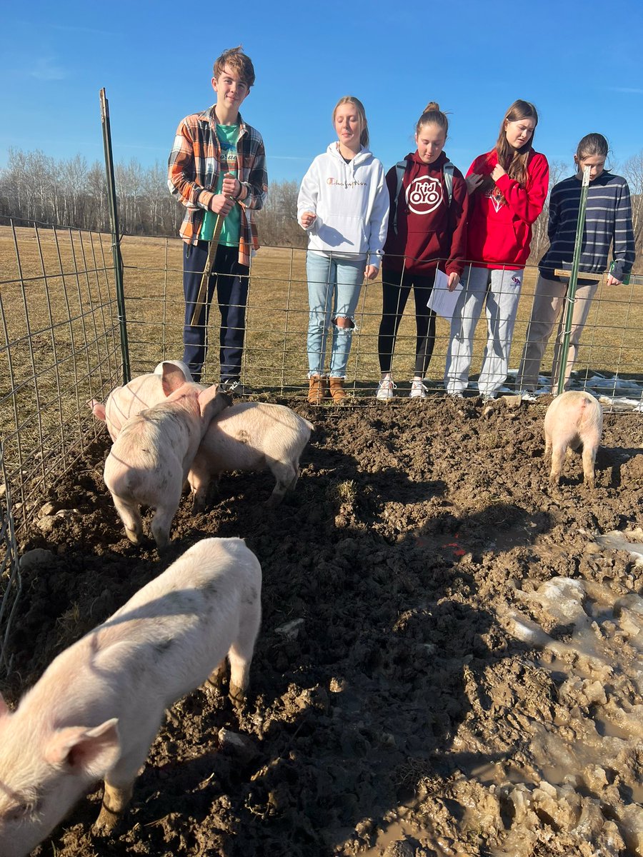 Erika Kalgren tweet media