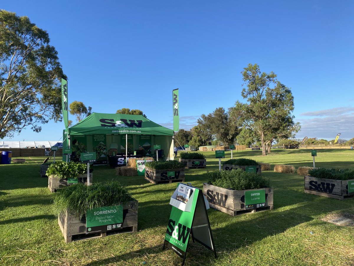 swseedcompanyau's tweet photo. The Lucindale South East Field Days has kicked off today. Tim, Millie and Dean are set up and ready to welcome you at site 563. With 500 exhibitors and entertainment for both young and old, it's a great family day out. We'll see you there!
#lucindale https://t.co/cl8psSvb50