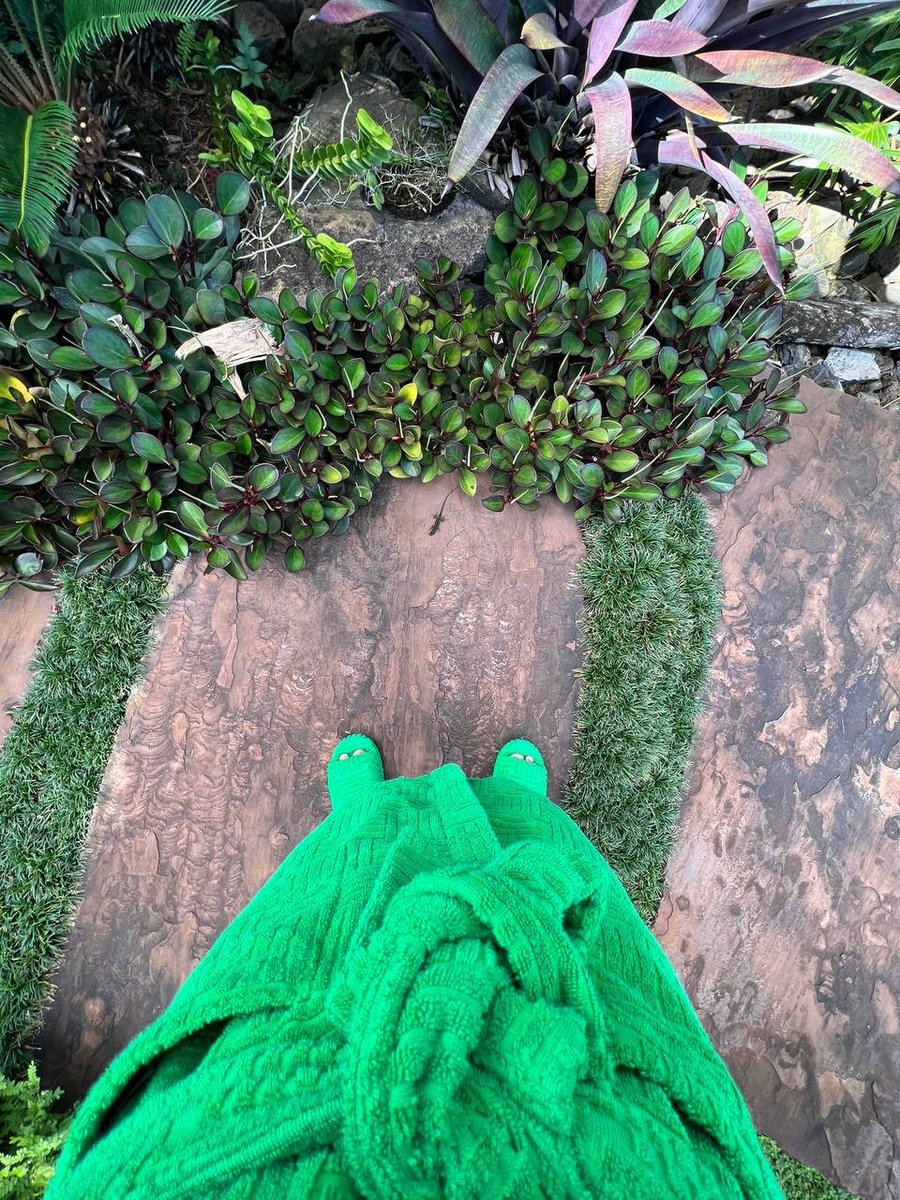 Early morning in the courtyard, the birds are singing and the air is slightly sweet, love this state of affairs#My Daily Life