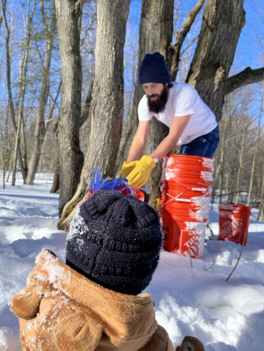 Cadillac, MI
The Backwoods Bears

Quoted caption:
'Finally tapped our trees in Cadillac today! Allegedly going to be great sap running weather coming our way!'

#MapleSyrup
#MapleSyrupSeason

#TheGreatBearTrail
#GreatBearTrail
#Beartaria
#BeartariaMichigan
#Unbearables
#Crushing