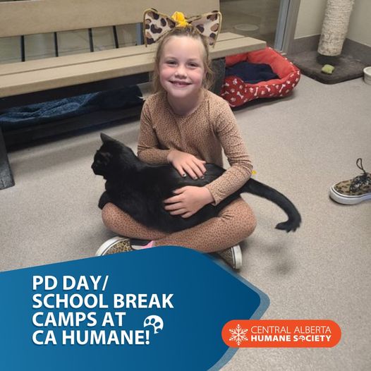 cahumanesociety's tweet image. Therre are just 2 days left to sign up for our #SpringBreakCamp happening from Tues, Mar 28- Fri, Mar 31! Our 4 day camp is for your 6-10 year old animal lover in the house!🐕This day is planned in conjunction with @rdcrs Spring Break in #RedDeer, #Blackfalds &amp;amp; #SylvanLake! 1/2