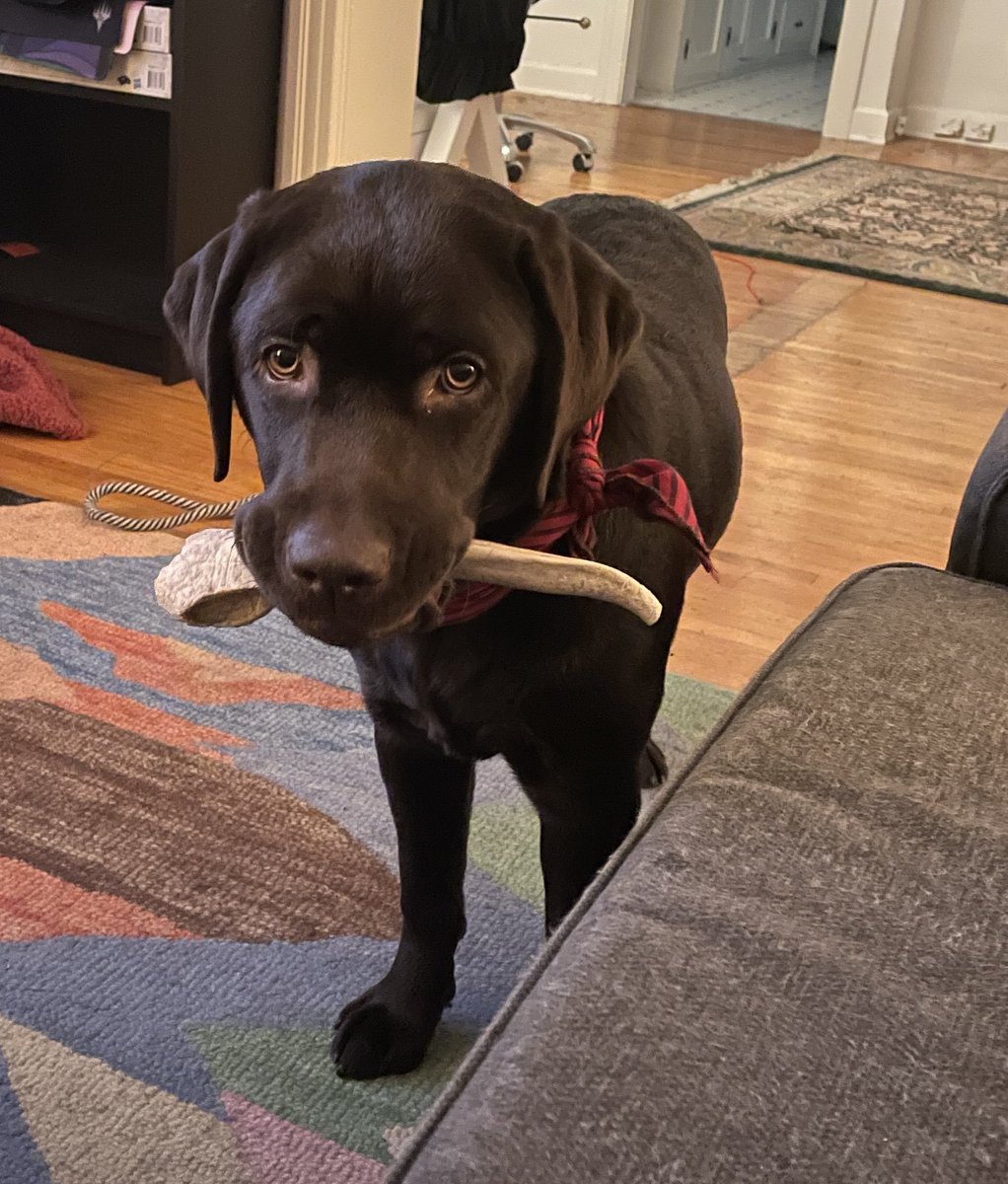 Rachel Weeks tweet media