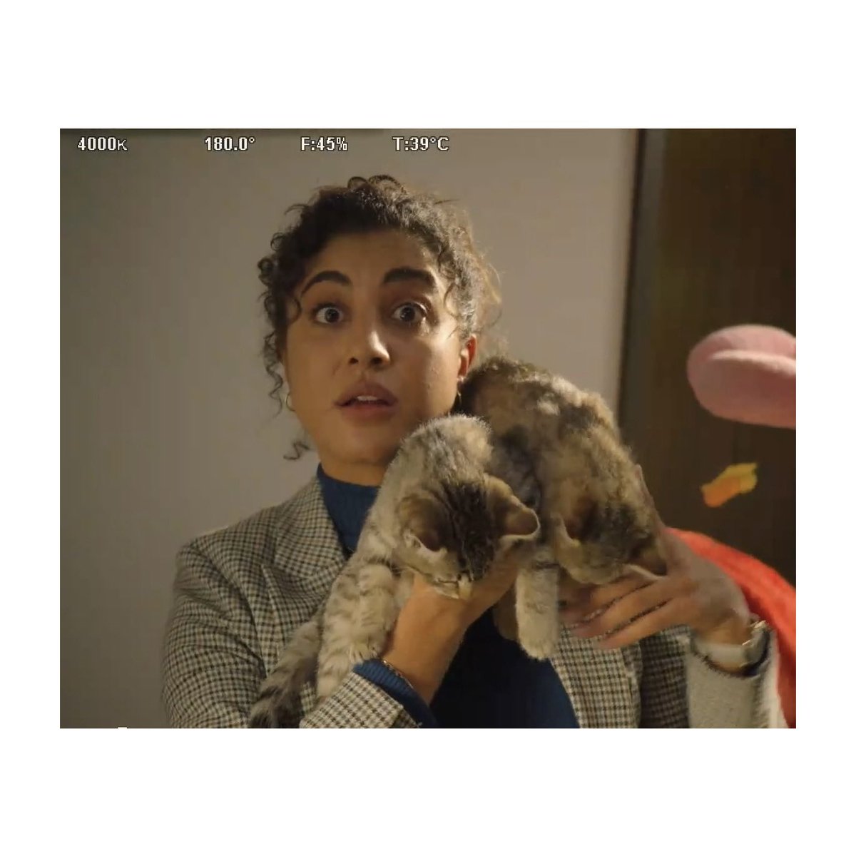 Vella Lovell tweet media