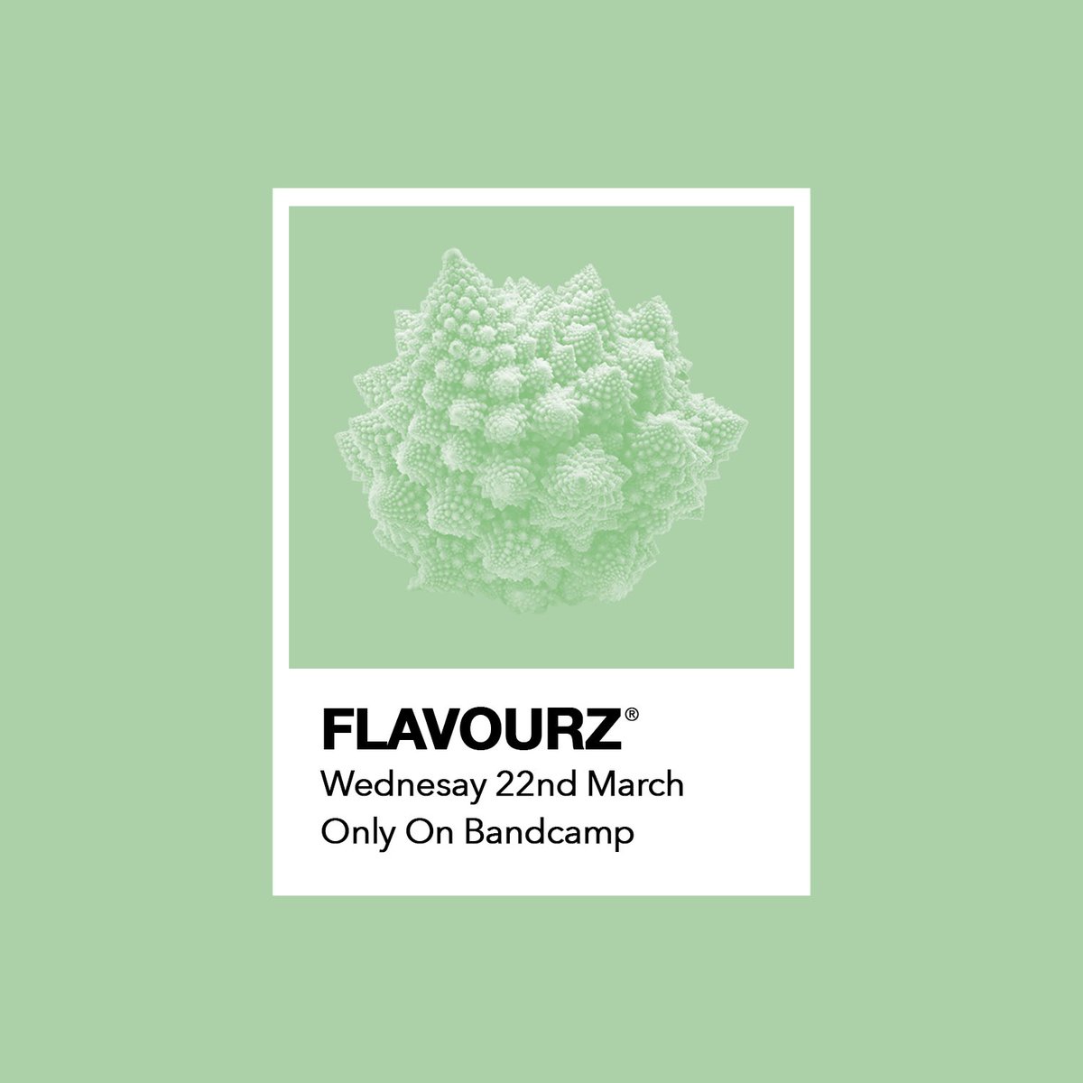 Casey Spillman tweet media