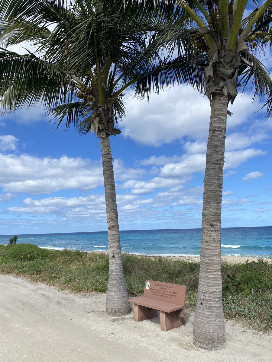 Andy Engelbrecht tweet media