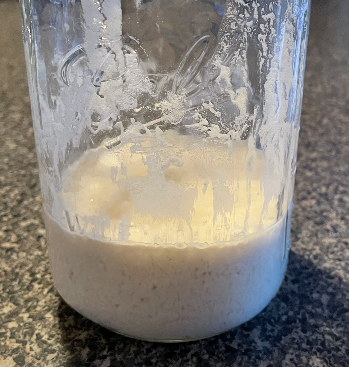 Day 2 starter no yeast looking good. 1/2 cup flour & 1/2 cup warm water stir cover loosely. Show more tomorrow. Great for grid down if no yeast available.