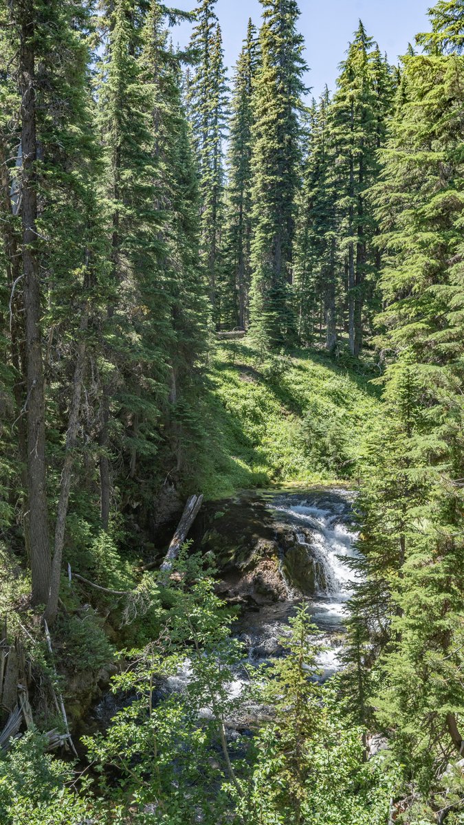 neverduskys's tweet photo. Tumalo Falls Loop
Deschutes National Forest 
Oregon https://t.co/bHIlJsf6Zy