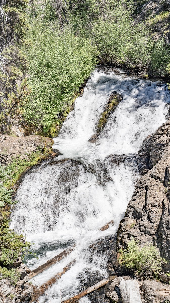 neverduskys's tweet photo. Tumalo Falls Loop
Deschutes National Forest 
Oregon https://t.co/bHIlJsf6Zy