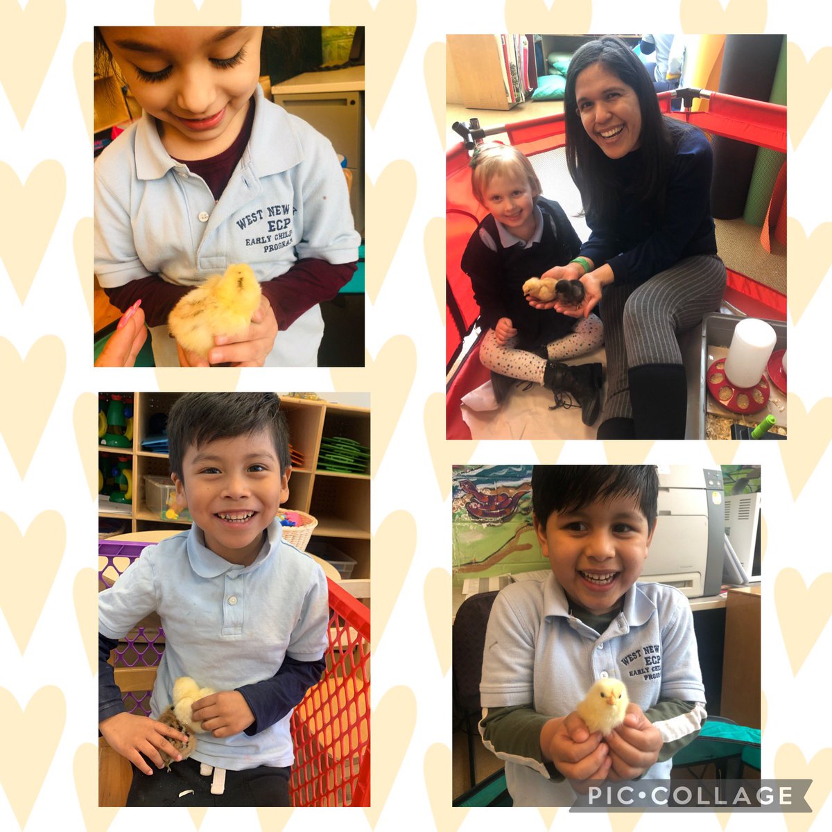 _MsStephanie_'s tweet photo. Love at first hatch. 🐣🐣🐣 @wnyecc https://t.co/tkrKFlX2Dg
