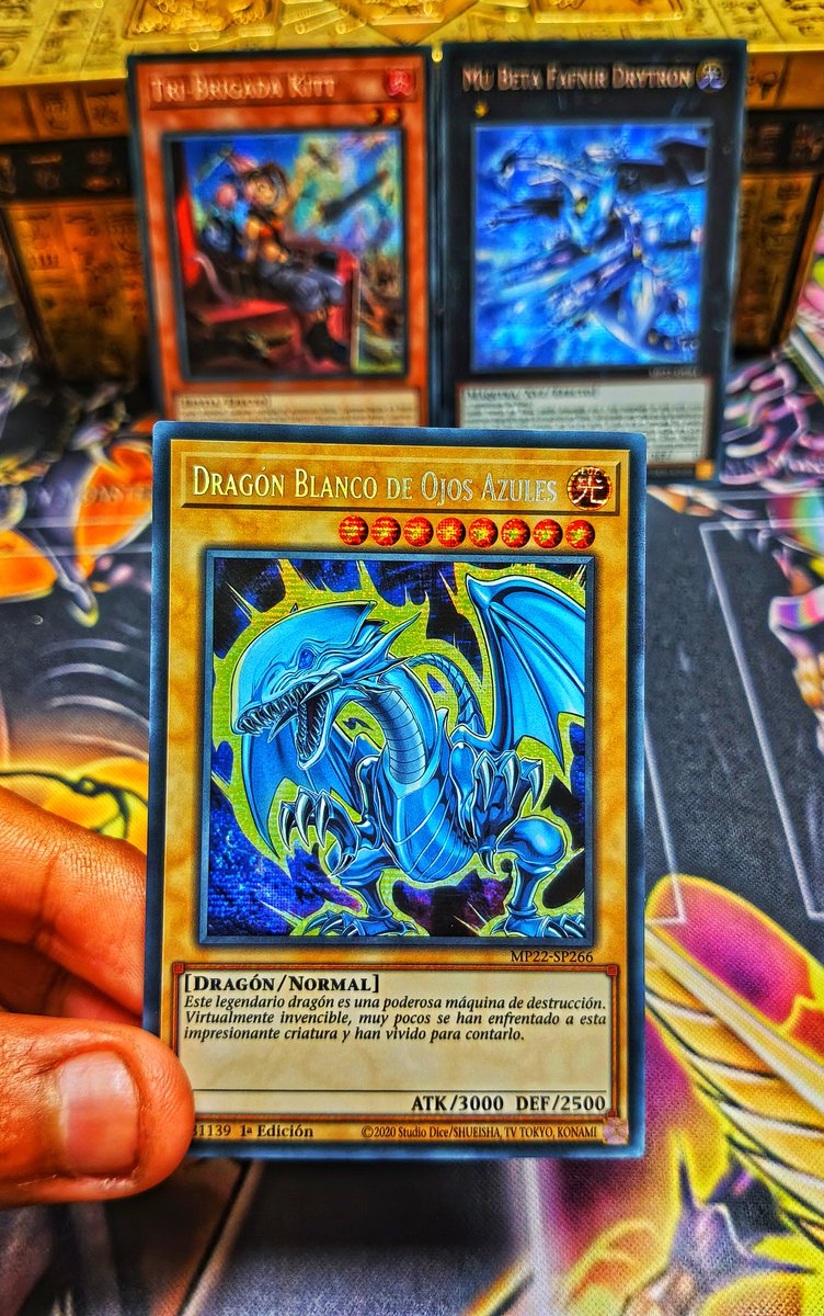 WilttensN's tweet image. Dragón Blanco de Ojos Azules.

#pokemoncommunity #pokemongirls #pokemontrainer #pokemontcg #pokemongo #pokemontradingcards #pokemonlife #pokemonfanart #pokemon #pokegirls #yugioh #yugiohcommunity #yugiohtcg #yugiohcollection #yugiohcards #yugiohcollector #gamergirl