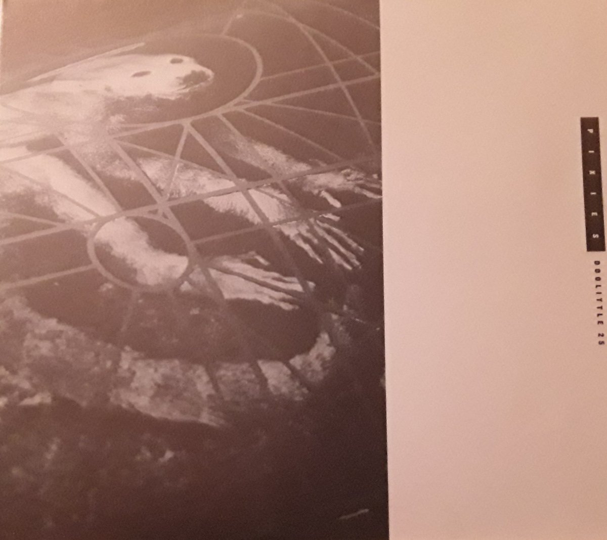 emmebyrock's tweet photo. #Ascoltando #Musica e stasera ci sta bene il disco (ristampato) dei #Pixies "Doolittle 25", dopo il concerto di Parigi, da poco ritrasmesso live. Grazie Pixies! https://t.co/adIuPFdSJy