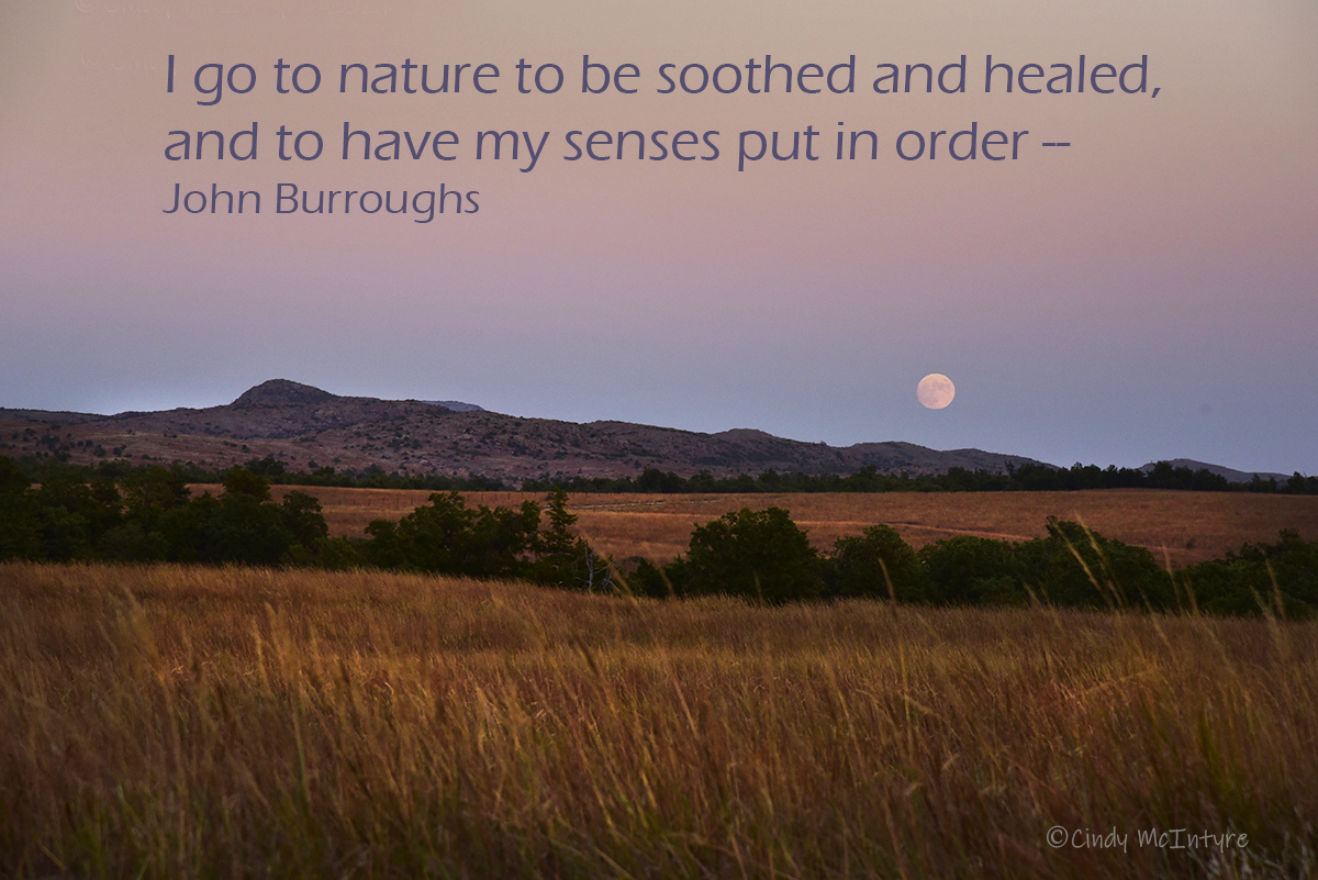 FriendsWichitas's tweet photo. Nature’s healing powers are legendary. How many of you have had your “senses put in order” while visiting the Wichita Mountains Wildlife Refuge? Share your experiences in the comments. 📷Cindy McIntyre #WichitaMountains https://t.co/ZB4RUugQsl