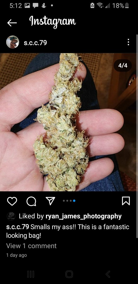 New 14g GMO <a href="/SugarBudCGC/">Sugarbud Craft Growers Corp.</a> finally hit Alberta shelves. "Smalls" not really :-)