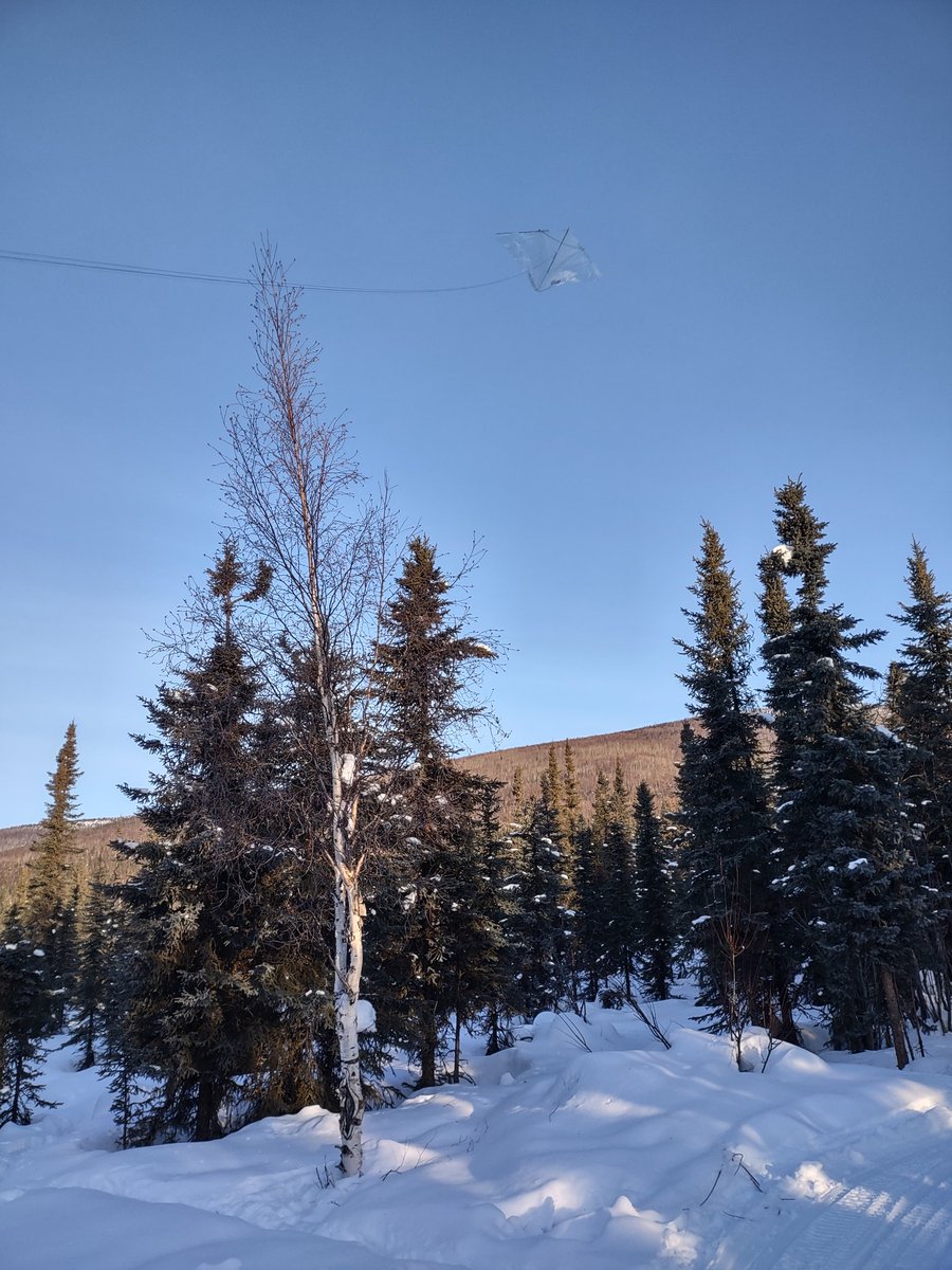 An iFlite in -13°F at the lower angel creek cabin #flyakiteaweek