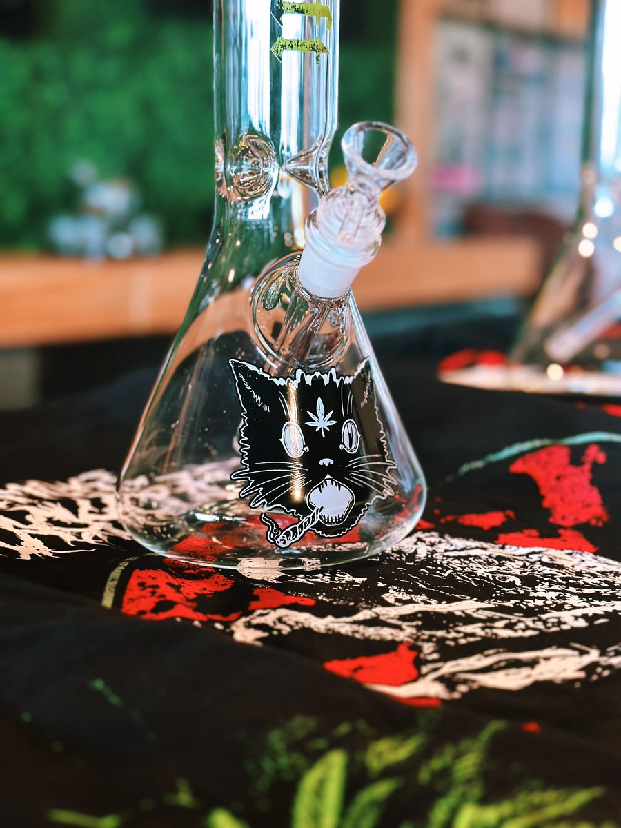 AileenSenpai 🦋✨ tweet media