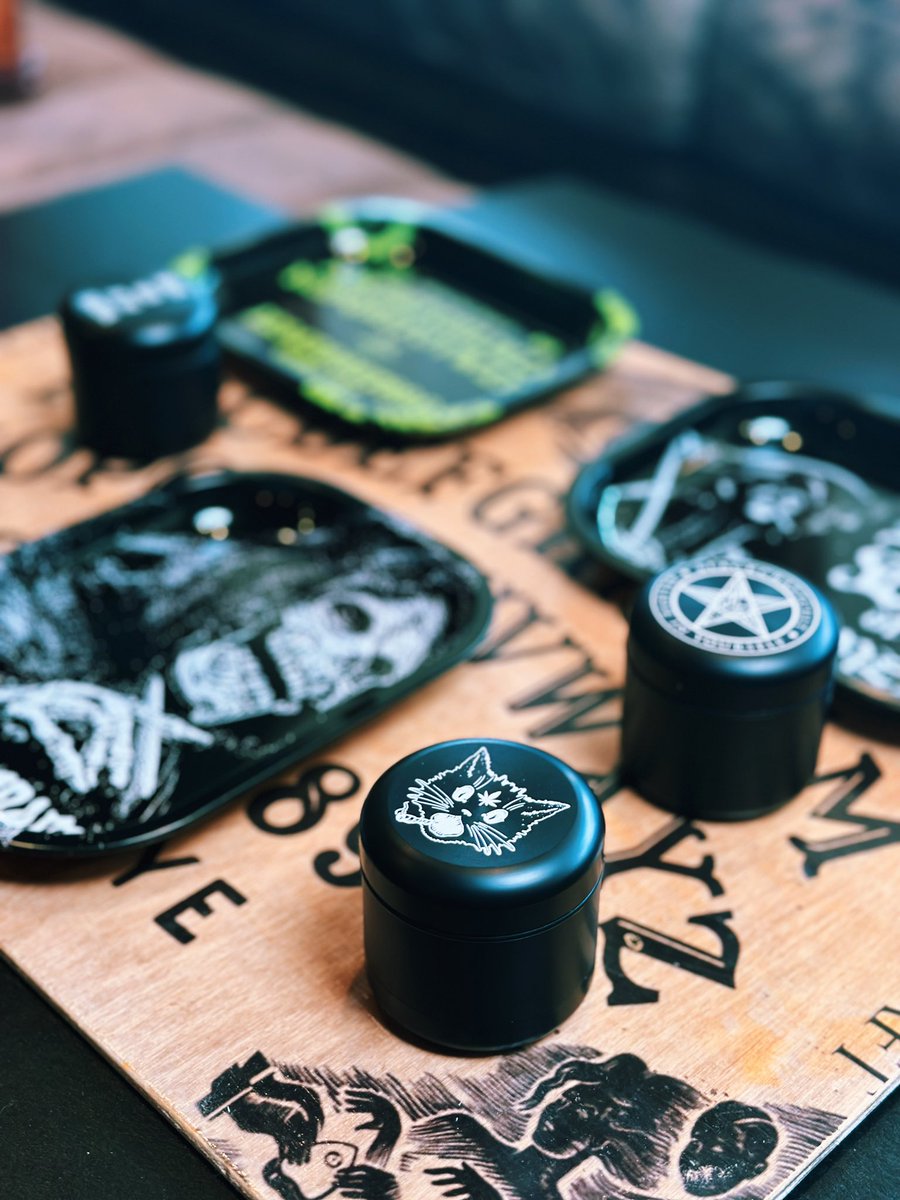 AileenSenpai 🦋✨ tweet media