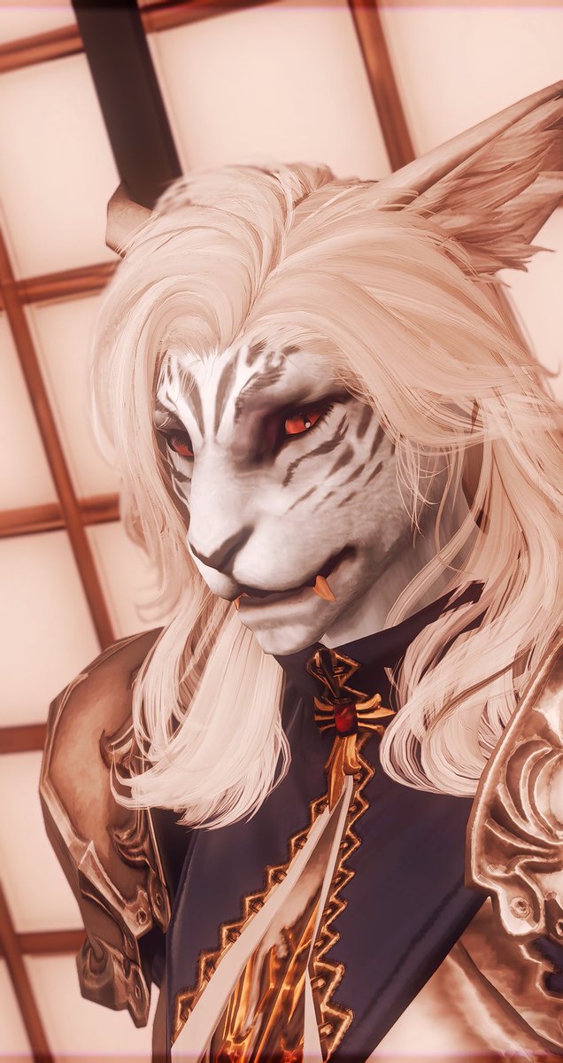 Here comes the Schnitter 𓆸 𓆹 𓆺 (on vacation) tweet media