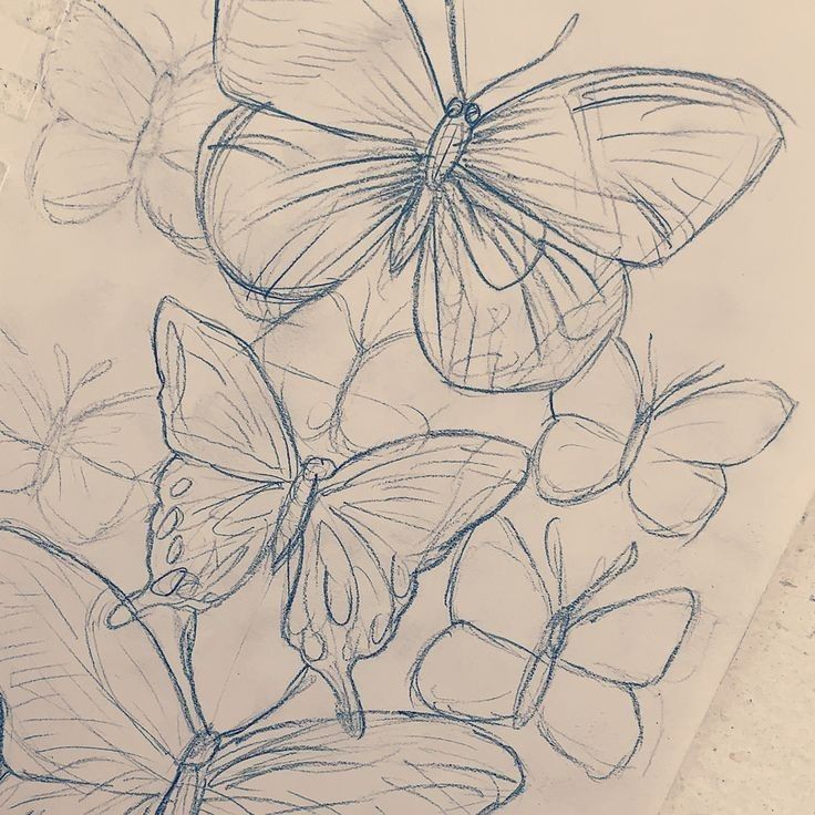 Ccgomitass tweet media