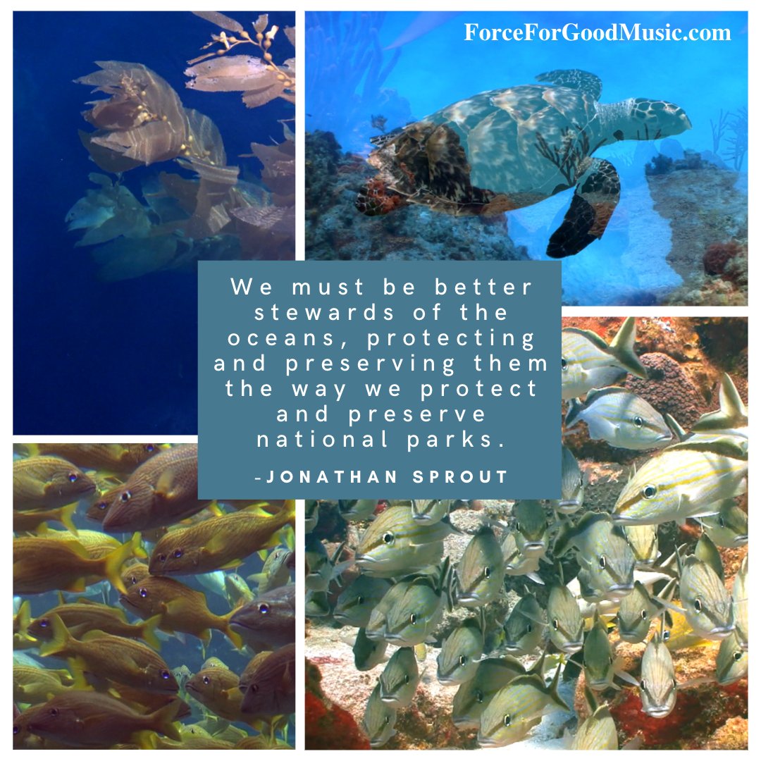 We must be better stewards of the oceans, protecting and preserving them the way we protect and preserve national parks. #oceans #oceanlife #marinelife #preservation #ClimateAction #wehavethesolutions 
Please watch & share the video: youtu.be/oYtiTebwOmY