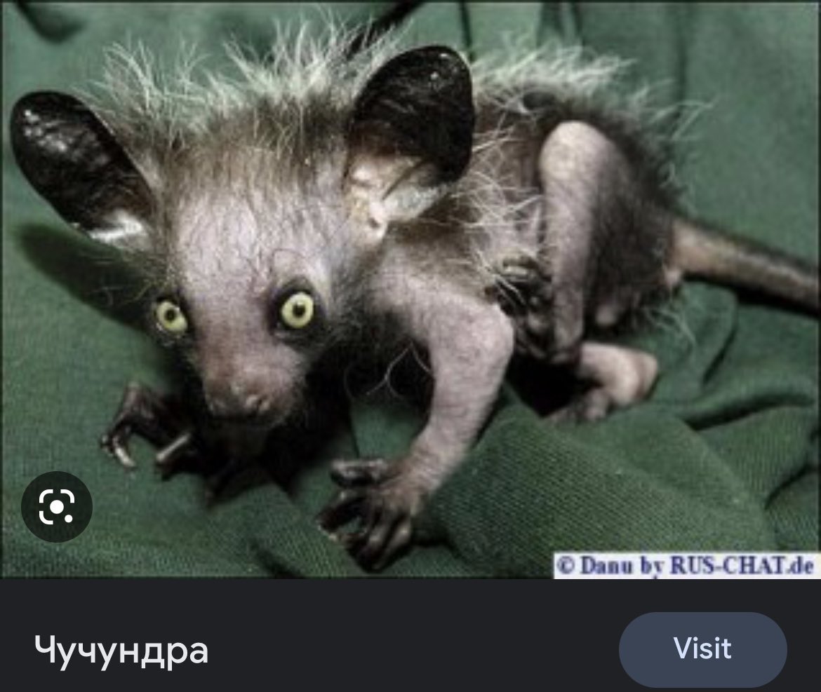 ꑭ Cкладна Kовбаса ꑭ tweet media