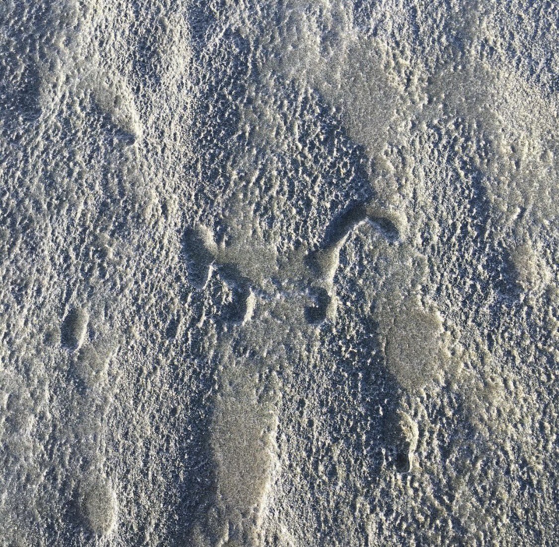 INCREDIBLE HISTORY On Twitter RT WWolfProd Petroglyphs In Hawaii incredible-history-on-twitter-rt-wwolfprod-petroglyphs-in-hawaii