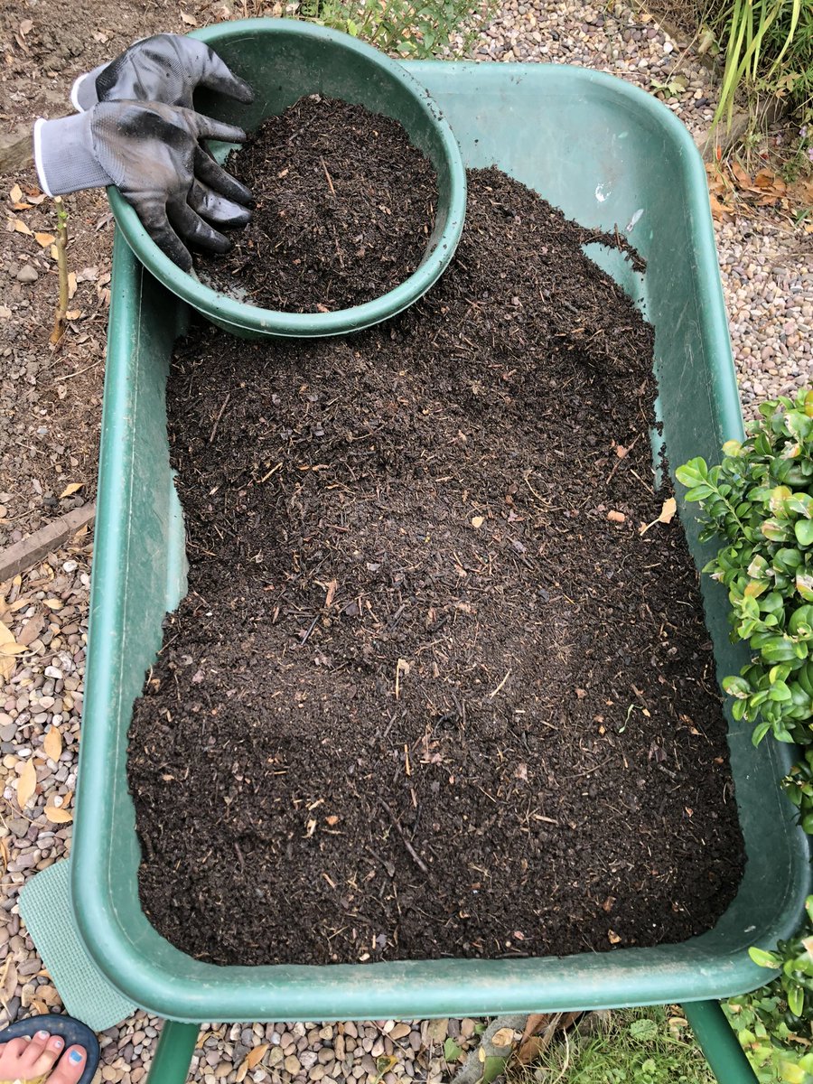 Sam_SSSLearning's tweet photo. #nationalcompostweek Gardener’s gold https://t.co/h3v9qZo1j5