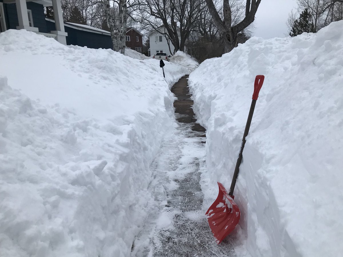 profshanks's tweet photo. I swear there’s a lawn under there somewhere… https://t.co/PxTSBNYmCo