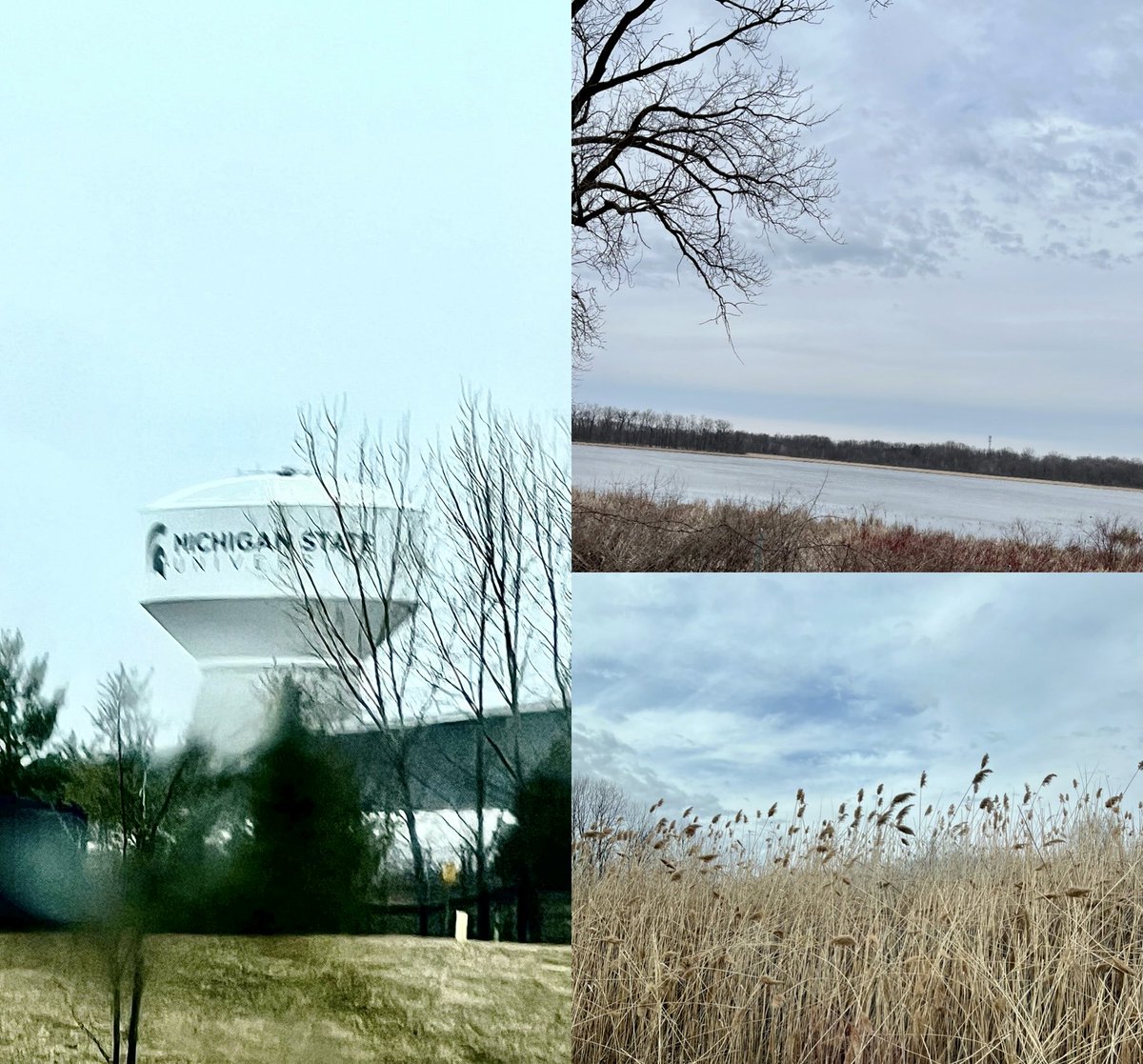 LejmanMargie's tweet photo. Pics from drive to Lansing today! Have a nice evening!
#countrydrive https://t.co/D5M8aDti09