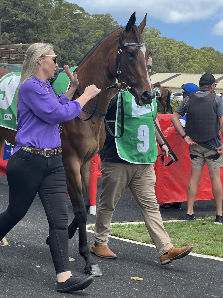 Adrian Sciglitano (@adrianscig) on Twitter photo Hoping from some luck from the wide draw today <a href="/port_races/">Port Macquarie Races</a> with Stella first go at 1500m, with Ben Looker on board for @AngeGrahamRace. 🖤💙 #StellarStyle Hoping from some luck from the wide draw today <a href="/port_races/">Port Macquarie Races</a> with Stella first go at 1500m, with Ben Looker on board for @AngeGrahamRace. 🖤💙 #StellarStyle