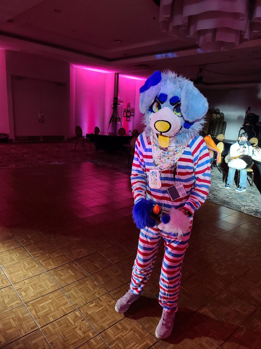 Some photos from Vancoufur of me being a very big dog.

First two photos by Kurrikage
Dance photo by RainRat