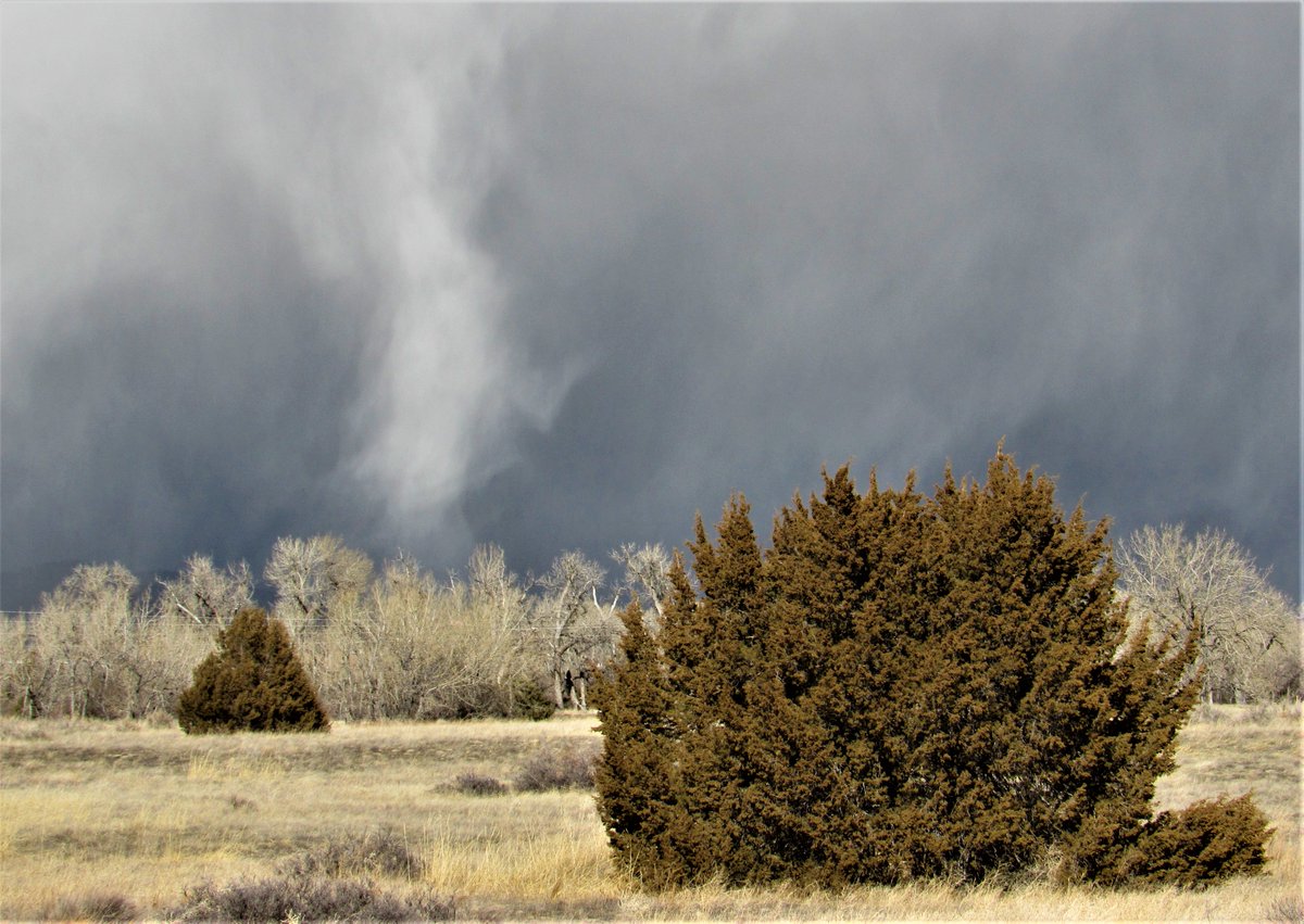 wyohistoryguy's tweet photo. Started walking in cloudy windy conditions - then sleet, followed by bright sunshine. Ten minutes later snow and blowing snow, and the last five minutes bright sunshine - again.  March - Yep! #walking #wyoming #landscapephotography #snowcloud #Weathercloud https://t.co/n54eFC3Z5c