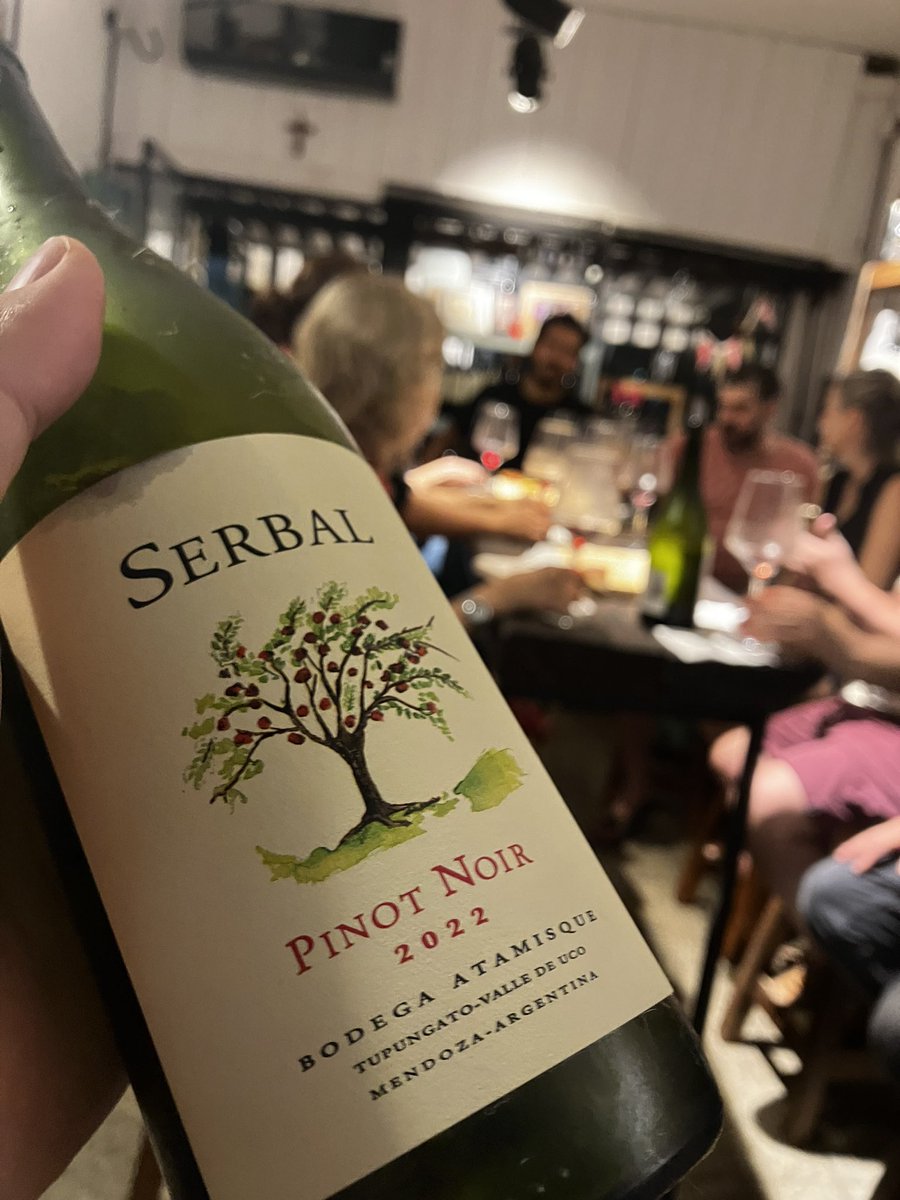 paladar_noir's tweet photo. Los tres primeros vinos. 
Serbal Pinot 2022. Vibrante y distinto. 
Alpataco Pinot 2021. Un clásico patagónico. 
Albaflor Pinot 2022. VistaFlores y su tipicidad. Gran vino. #PinotNoir #PintoPinot https://t.co/BezpVgx8R4