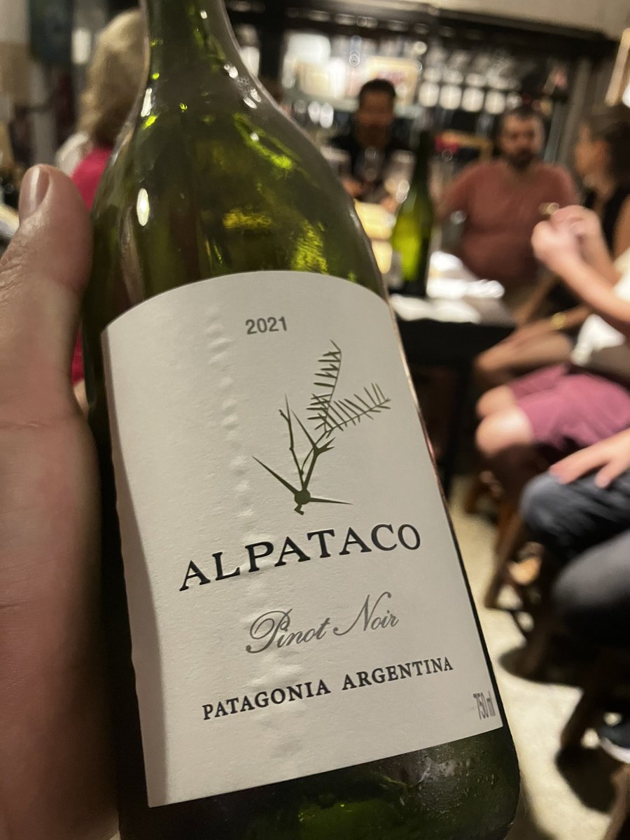 paladar_noir's tweet photo. Los tres primeros vinos. 
Serbal Pinot 2022. Vibrante y distinto. 
Alpataco Pinot 2021. Un clásico patagónico. 
Albaflor Pinot 2022. VistaFlores y su tipicidad. Gran vino. #PinotNoir #PintoPinot https://t.co/BezpVgx8R4