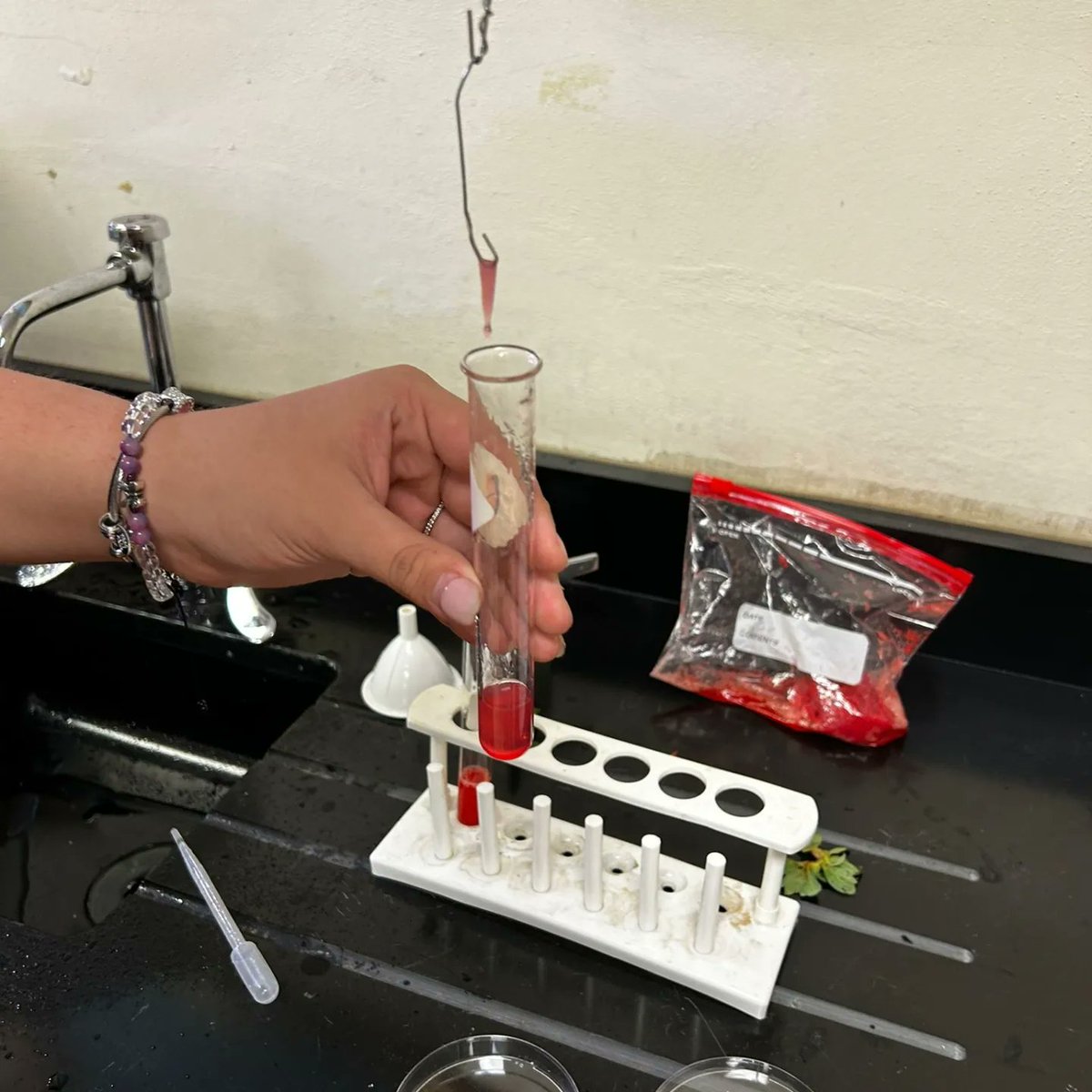 ShenandoahMS's tweet photo. It's #throwbackthursday! Check out Mr. Fernandez's Biology classes as they extract DNA from a strawberry. #SMSScience @MDCPS @MDCPSCentral @SuptDotres @miamimagnets @MariTereMDCPS @MDCPSSci @MDCPSSTEAM https://t.co/s3M6wKMKAX