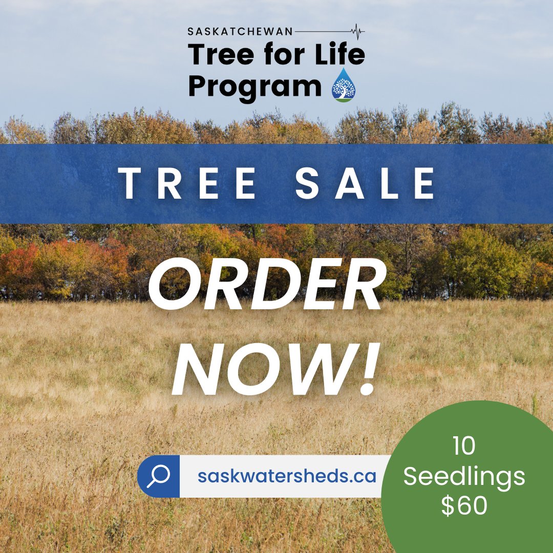 sk_program's tweet image. From now until May 15, you can help support clean lakes and rivers and healthy watersheds across Saskatchewan by purchasing a tree bundle from the #SKtreeforlife Program!  

Visit saskwatersheds.ca to learn more. 

#SkTreeforLife #SaskWatersheds