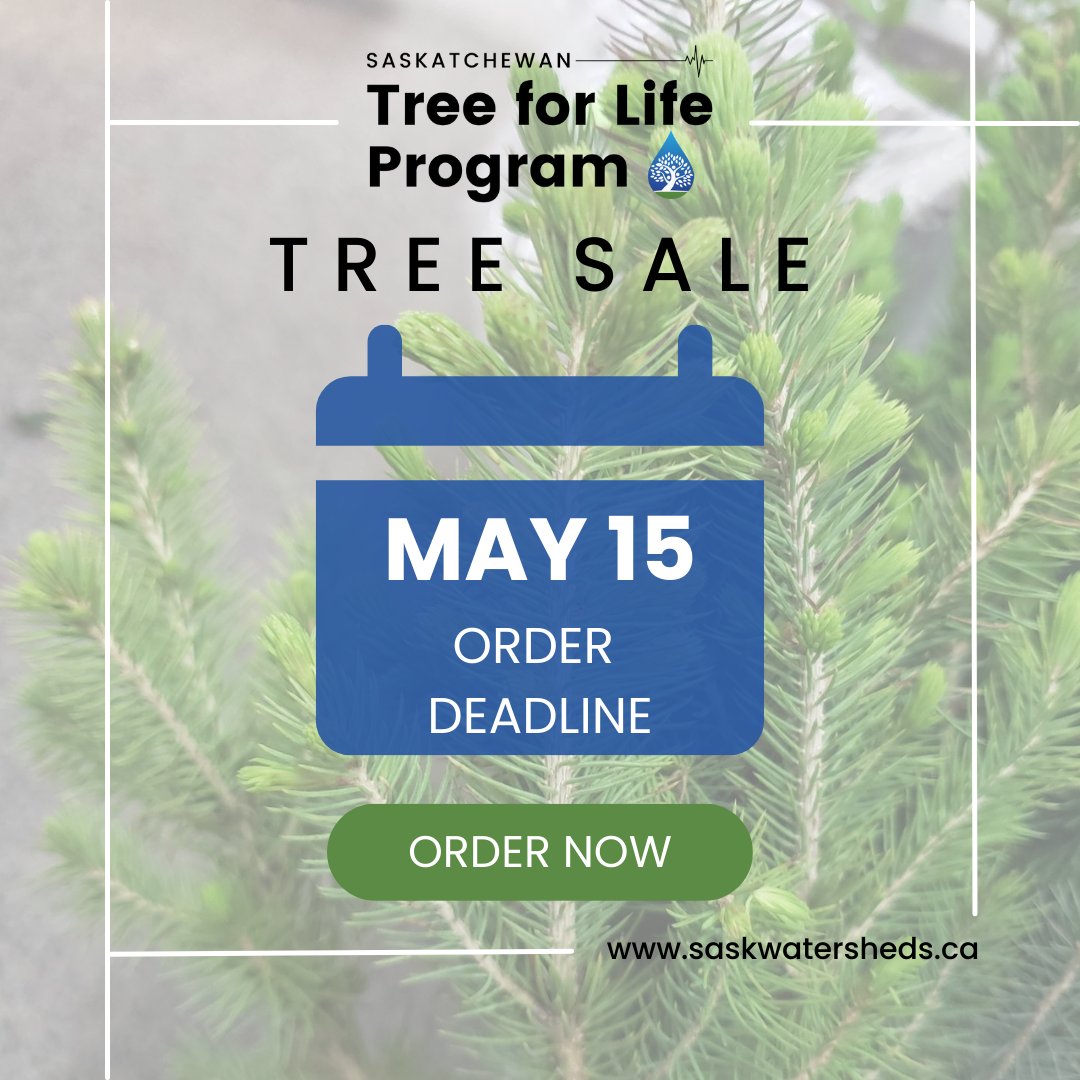 sk_program's tweet image. Reminder to get your tree orders in! Orders will only be accepted until May 15. 
Shop the available trees at …katchewan-tree-for-life.myshopify.com
Thank you for supporting healthy watersheds! 

#SkTreeforLife #SaskWatersheds